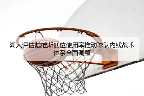 湖人评估戴维斯低位使用率推动球队内线战术体系全面调整
